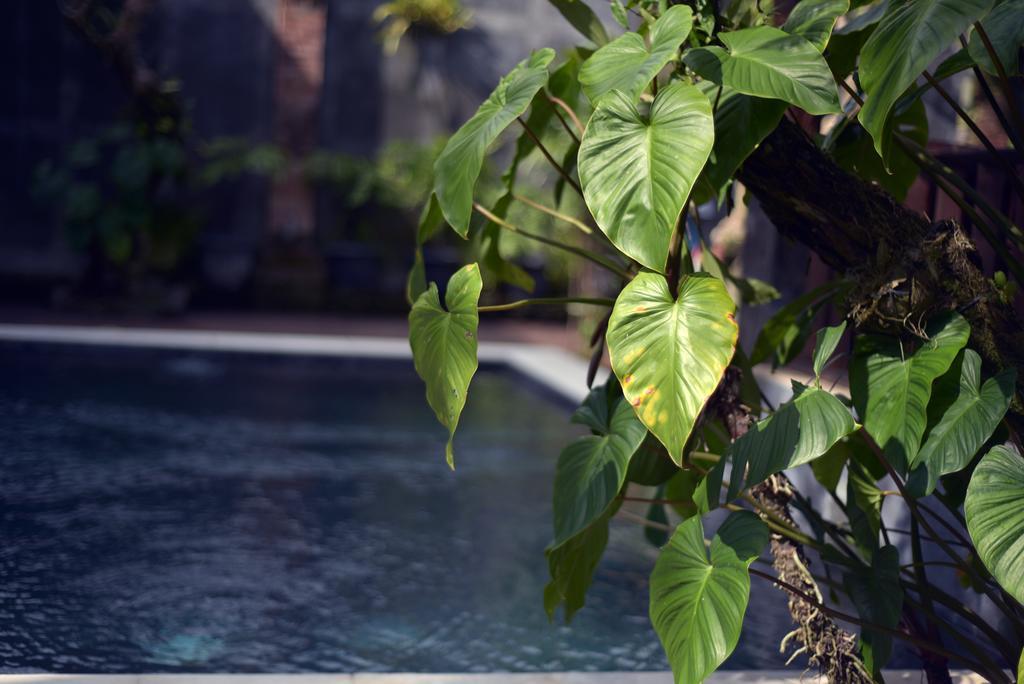 Wooden Villa By Prasi Ubud  Exterior photo